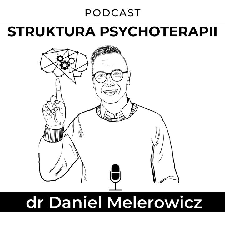 struktura psychoterapii